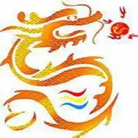 中年人微信霸气龙的头像大全微信头像图片大全