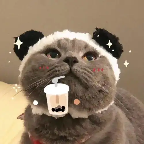 微信头像丨情侣头像,萌娃头像,女生头像113