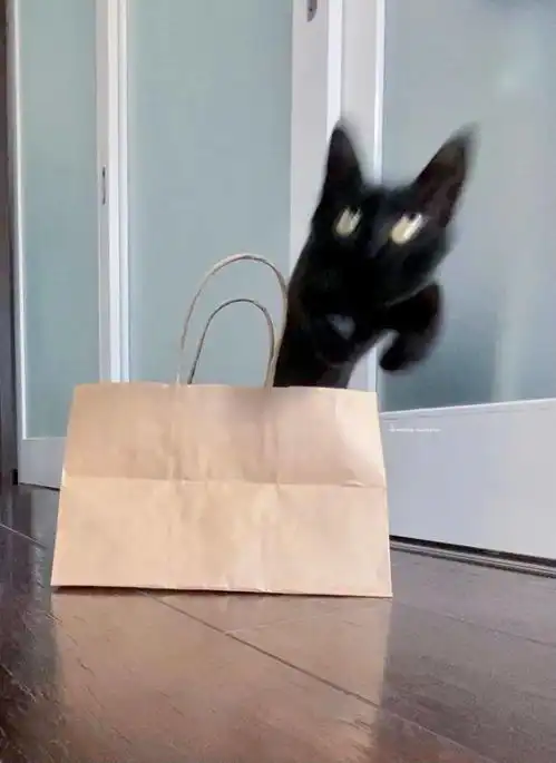 你家宠物的丑照,竟被他偷偷做成手办,猫猫狗狗呜呜呜,这下全世界都知道我丑了