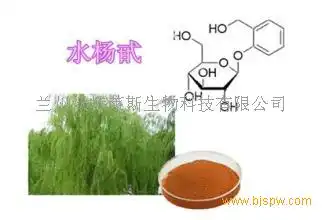水杨甙白柳皮提取物招商