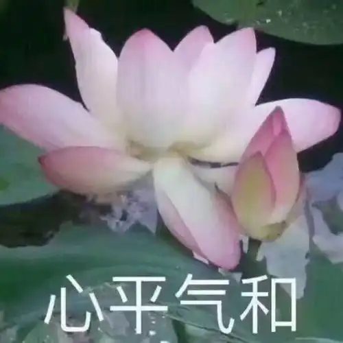 仅凭一张排行榜能否帮助hardstyle在世界上走向大众