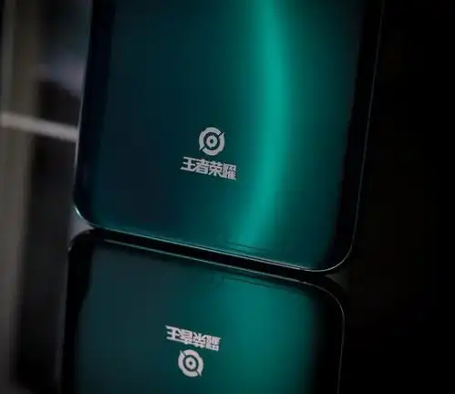 和游戏一起书写传奇r17pro王者定制版不是一点点漂亮