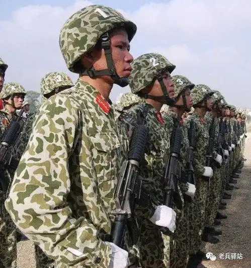 军迷福利世界各国迷彩一览