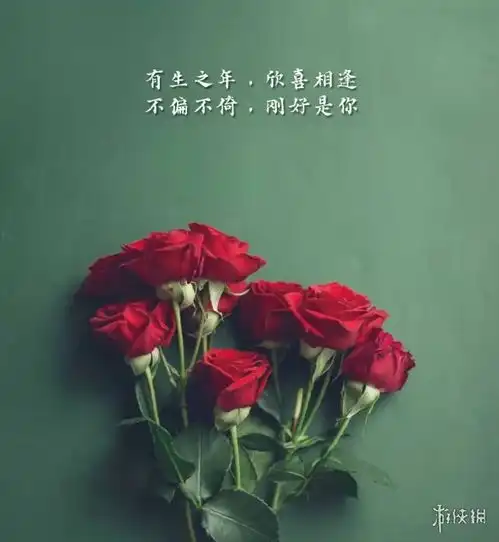 大妈上树拍照的诗句假花的别称