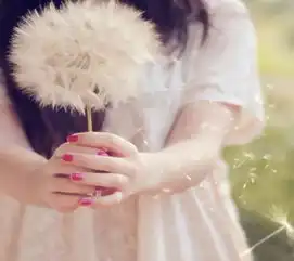 雪小禅爱情是美丽的穿肠过