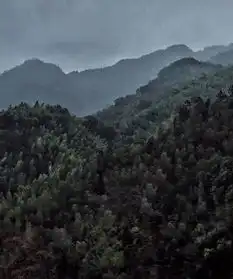 她像一个古人,行走在中国山水画卷中雪小禅最美微刊武夷山特辑