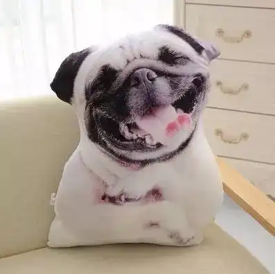 丧病啊这些奇葩抱枕,治好了我的假后综合症