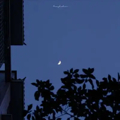蓝色系背景图把想说的都藏进夏风景静物头像我要个性网
