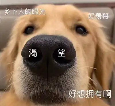搞笑萌宠