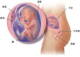 女人都应该有个暧昧男闺蜜
