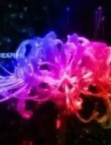 mov00770