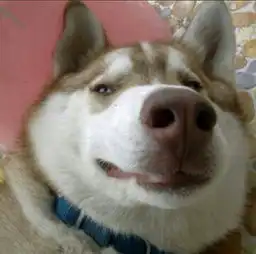我爱她,她不爱我,我不爱她,她爱我怎么可能会是这个结果,既然算出来的答案是她爱我比我爱她要多很
