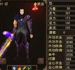 天龙八部里武当70级镶几棵红宝石血到2w
