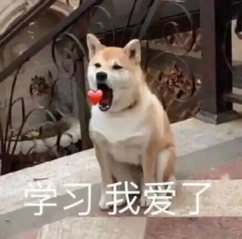 超火的沙雕柴犬表情合集,两手插兜,谁都不爱