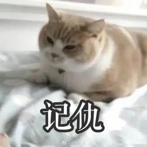 猫出来混,迟早是要还的