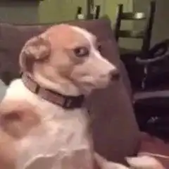 哪个瞬间,你开始觉得自己老了