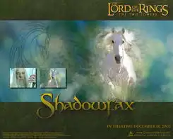 shadowfaxmtime时光网