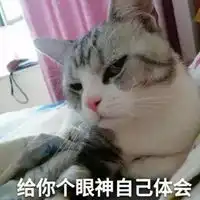 不屑表情包