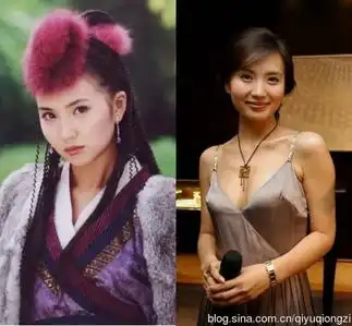 03版天龙八部主演高虎吸毒被抓林志颖爸爸去哪儿爆红
