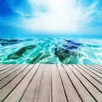 天不曾怀疑海的蓝的微信头像微信头像图片大全
