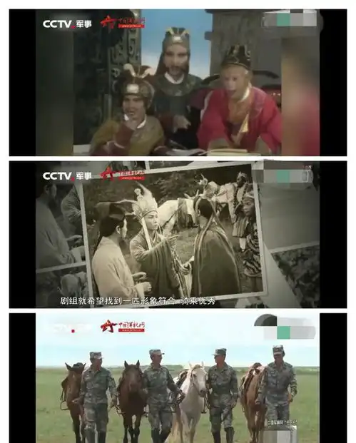 将一生献给西游记的白龙马,却惨死尸骨无存,成杨洁一生遗憾
