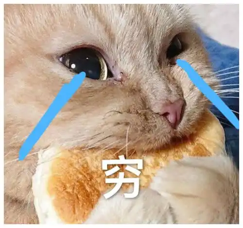 开心一点小明上学迟到哭了,老师一句话,小明哭的更厉害了