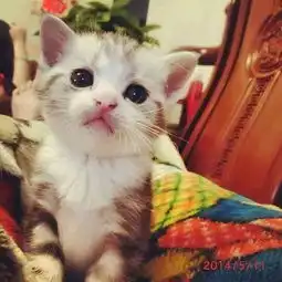 请加我哦