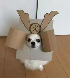 纸盒千万别扔,还可以干这个