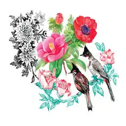 水彩花鸟画图片矢量图免费下载eps格式编号25658720千图网