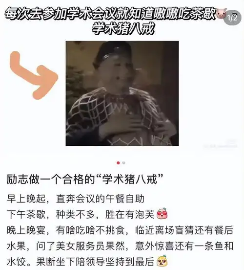 学术八戒我当定了,研究生晒学术会议现状,主打一个蹭吃蹭喝