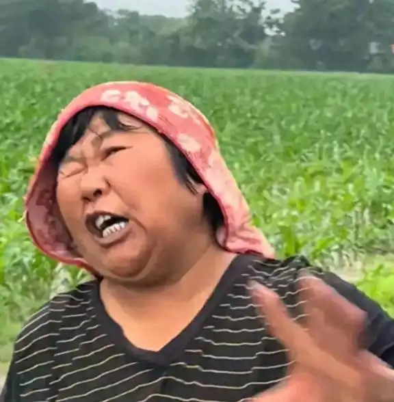 蛮横无理安徽一大妈玉米地被淹,竟将积水引向邻居承包田