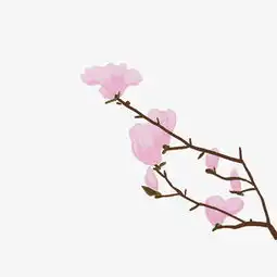 手绘新春玉兰花枝插画图片素材其他格式下载动漫人物大全