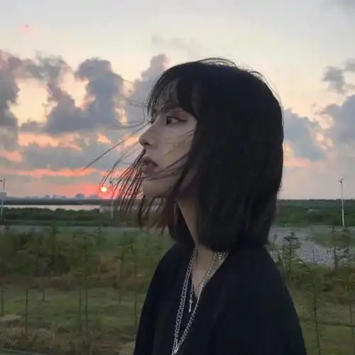 头像丨错过了落日余晖