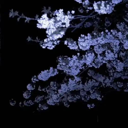 捧花唯美治愈系背景图