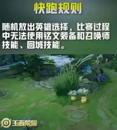 王者荣耀26号版本更新,五五开黑节曝光,达摩星矢皮肤上架