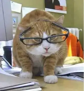 猫咪戴眼镜的样子萌萌哒