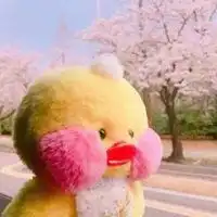 网红鸭子图片情侣头像微信头像图片大全