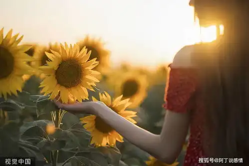 余生最高级的活法不解释不争辩