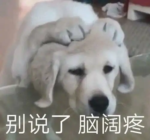 一看就是我本人的沙雕朋友圈文案