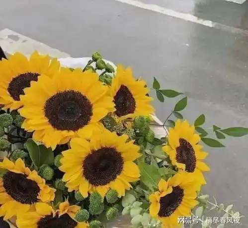 听微故事楼下邻居