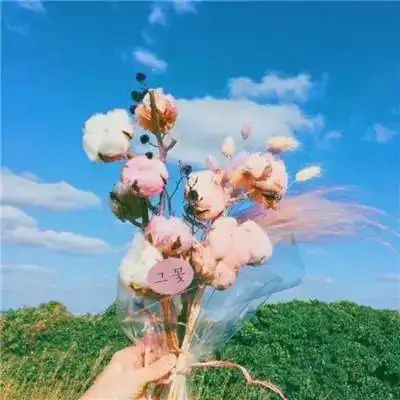 微信头像象征着好运的花卉头像