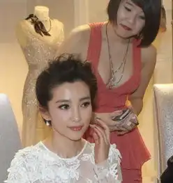 李冰冰被翻译抢镜胸猛的女翻译外国佬都不淡定了