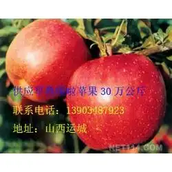 嘎啦批发嘎啦供应嘎啦厂家网络114