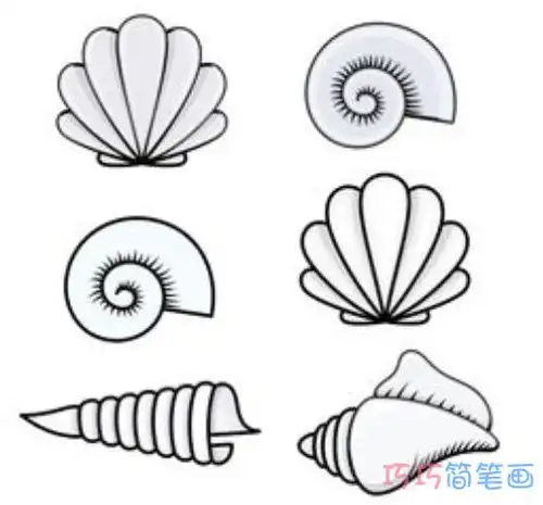 各种贝壳的画法简单好看怎么画贝壳简笔画图片
