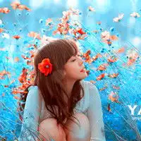 五十岁女人高雅的微信头像有哪些