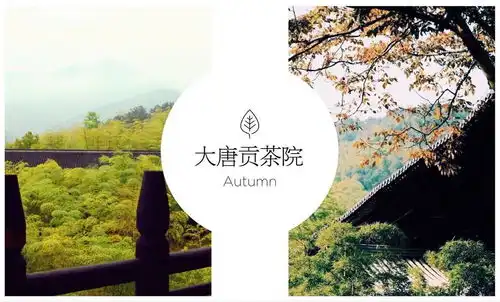 来这里,你一定能收获脑洞大开的长假