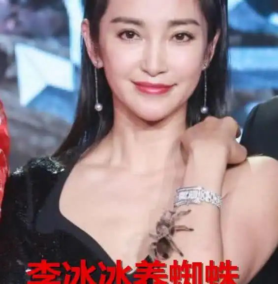论明星养宠物,宋茜养猪不算啥,当看到李冰冰的网友不淡定了