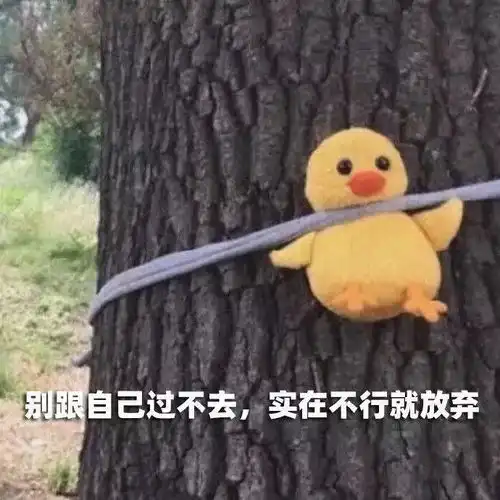 留学英国最贵,澳洲最水真相来了