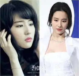 杨幂范冰冰都不适合刘海,你凭什么想试试
