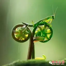 你能分辨下面这些照片有没有被ps过吗